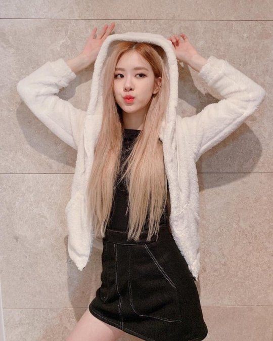 Download 500 Wallpaper Blackpink Rose Gratis Download 500 Wallpaper Blackpink Rose Gratis