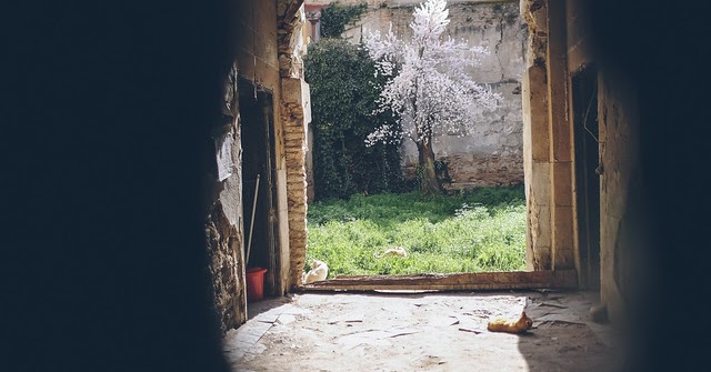 20righe La donna più ricca del mondo (Addio Bruna)