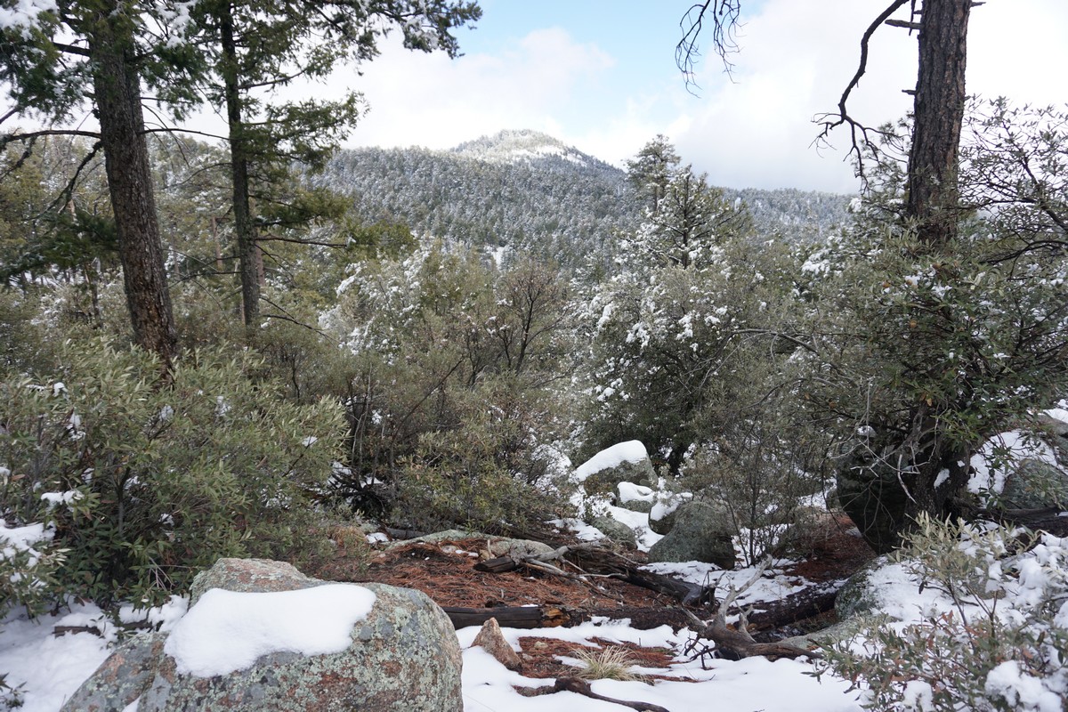 Harriman Hiker Harriman State Park and Beyond Box Springs Trailhead