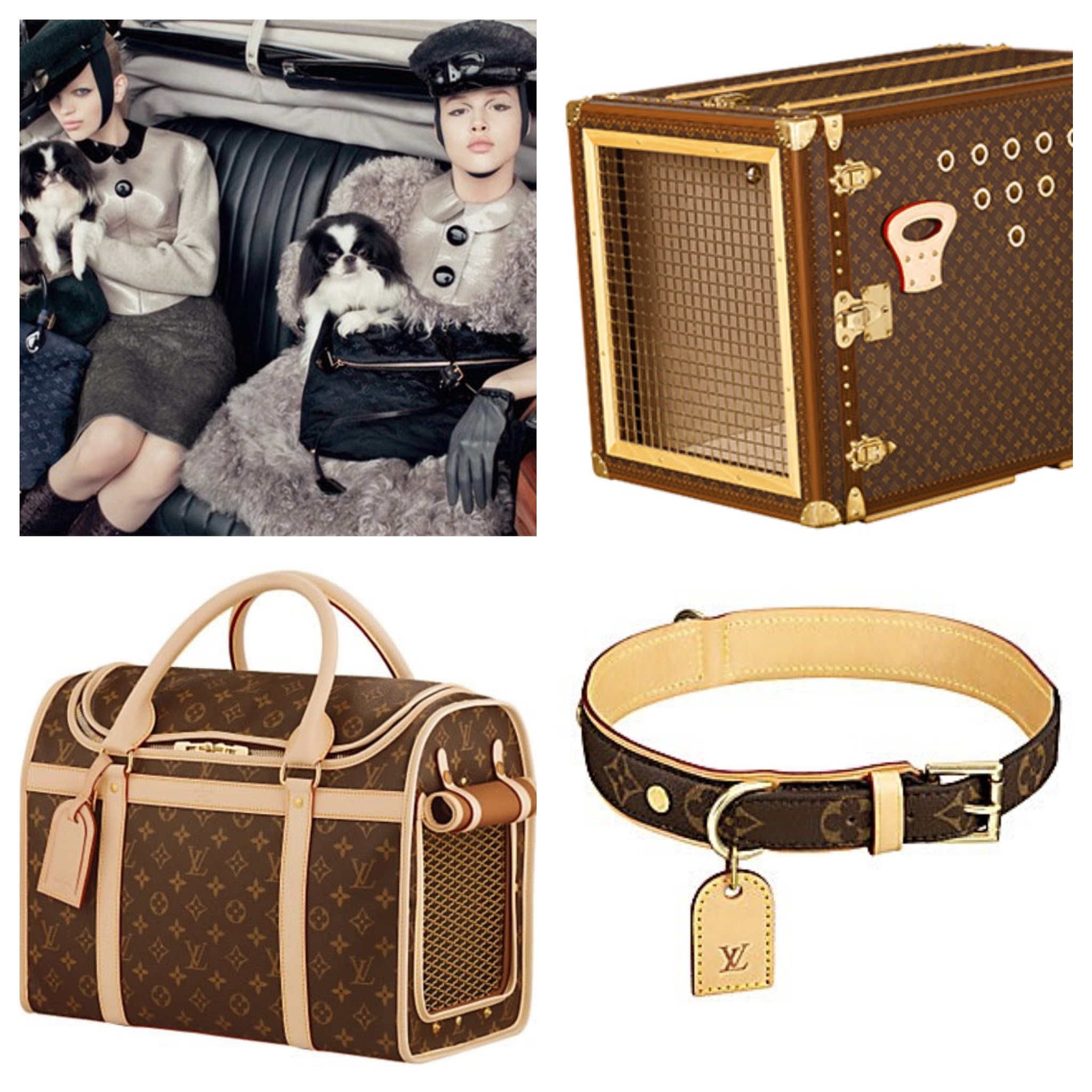 Vouges Dogblog LOUIS VUITTON