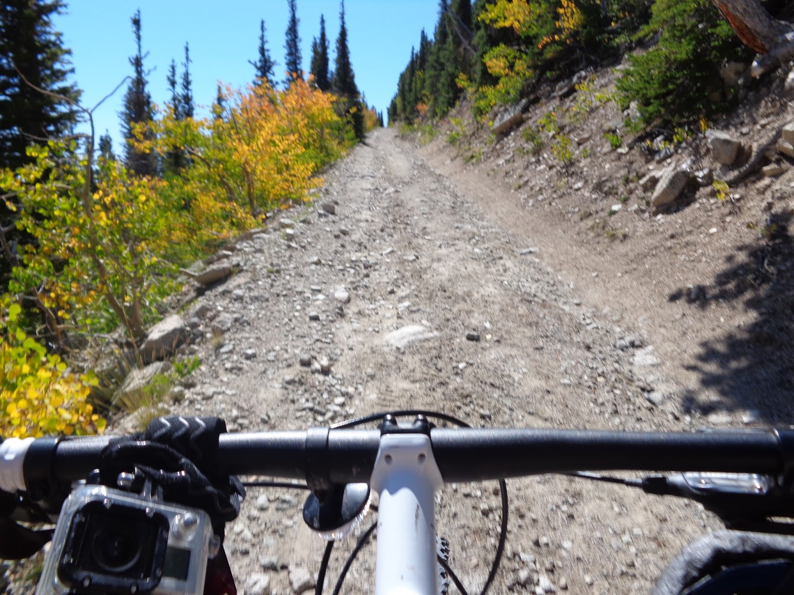 Front Range Rambler Mt. Princeton Duathlon Mountain Biking the Colorado Trail