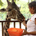 Incorporan nuevos métodos para el cuidado y bienestar de los animales en los zoológicos de Mérida