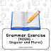 [PDF] English Grammar Worksheets: Nouns (Singular & Plural)
