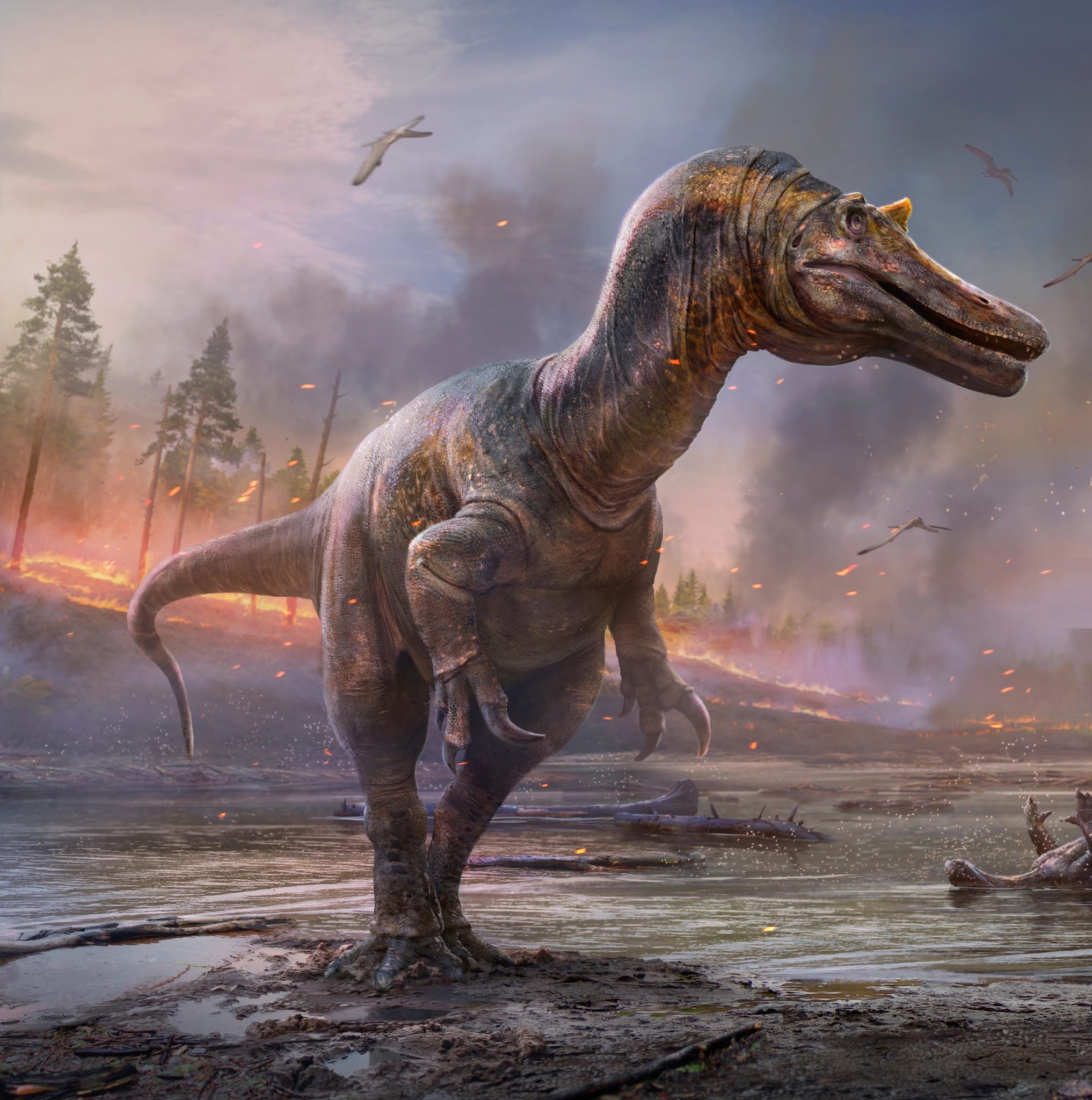 Ceratosuchops inferodios v Riparovenator milnerae Carnivora