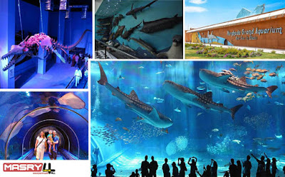 أفضل برنامج سياحي بالغردقة لمدة أسبوع ومتحف الأحياء المائية بالغردقة Hurghada Grand Aquarium