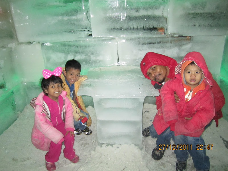 Zarina Zayanah: January 2012