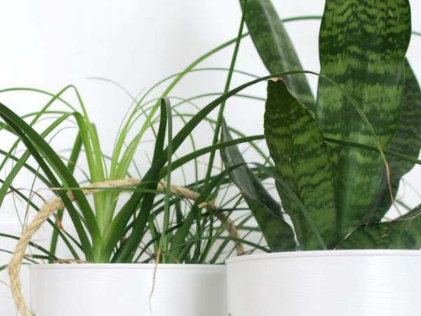 How to Recycle a Coffee Can into a Planter Bucket