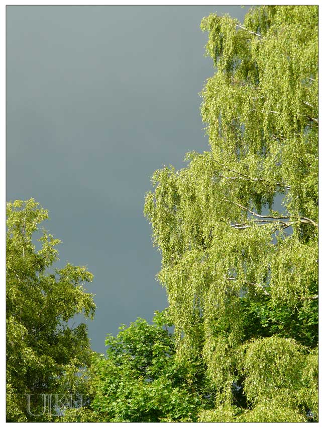 Das Leben Ist Hart Aber Ungerecht Januar 2019