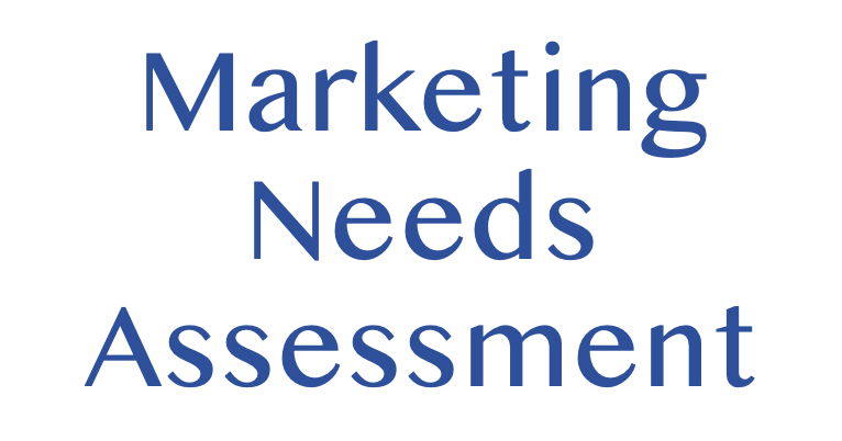 market research needs assessment
