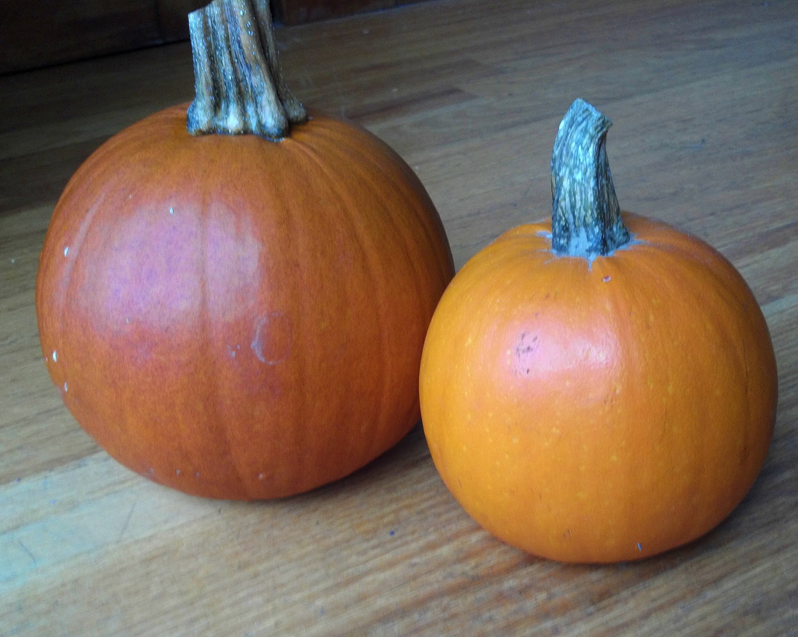 baking-outside-the-box-how-to-cook-pumpkin