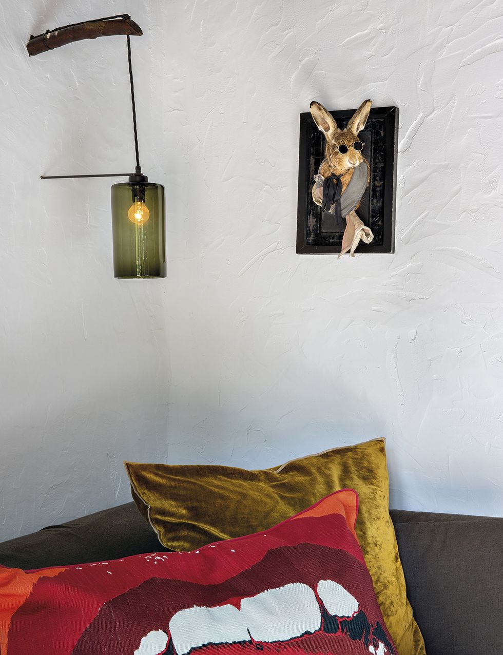 ����� ���� ����� liebre-henry-casa-ro