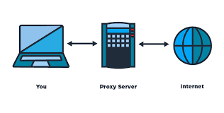 Setting Up a Profitable Proxy Site Using Only $3