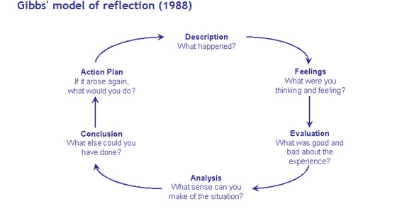 BAPP Course Blogs : Task 2c- Reflective Theory