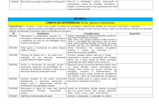 PROPOSTA%2BCURRICULAR%2BEDUCA%25C3%2587%25C3%2583O%2BINFANTIL page 0004