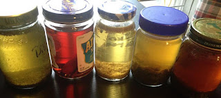 A selection of vodkas steeping in assorted jars. Here: Dill, cinnamon, chamomile, mint, oregano