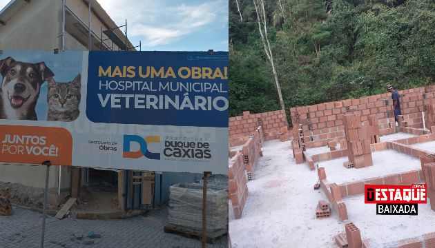 Jornal Destaque Baixada: Cães e gatos terão tratamento gratuito no