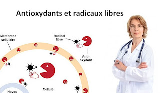 Comment lutter contre les radicaux libres