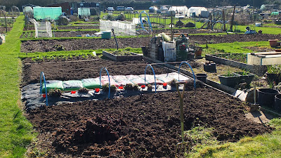 Hungerford Allotment