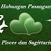 Pisces dan Sagitarius Cocok Atau Tidak Pisces dan Sagitarius Cocok Atau Tidak