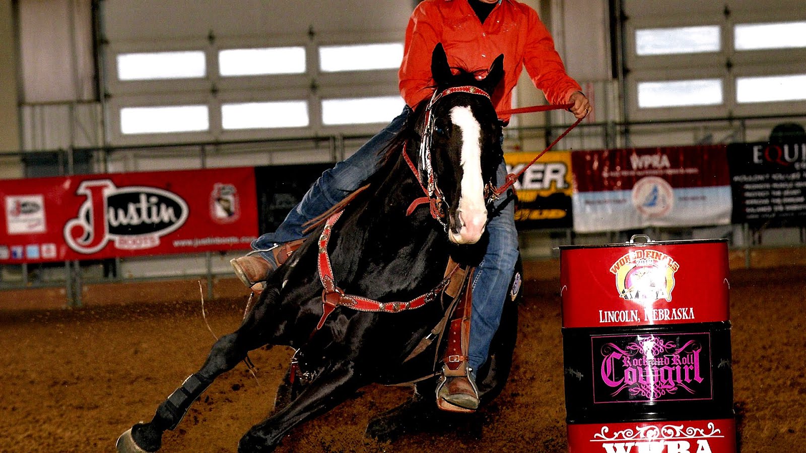 Barrel Horses For Sale In Sd Horse Choices