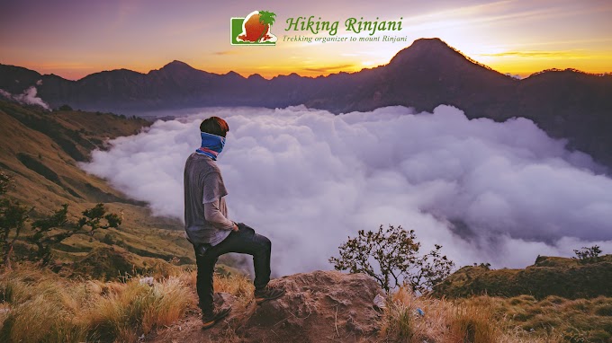 Berita Terkini Gunung Rinjani 2024