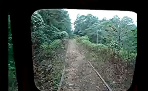 Video : 草生えすぎの線路