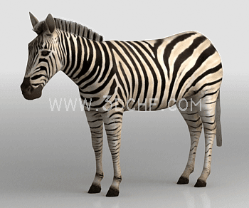 animal 3d model