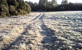 A foto mostra a neve ao amanhecer e já congelada na Região Sul do Brasil. A foto mostra a neve ao amanhecer e já congelada na Região Sul do Brasil.