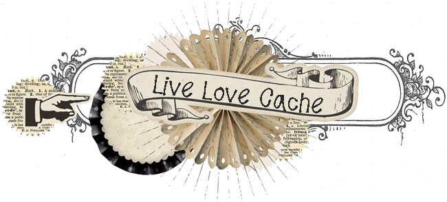 Live Love Cache