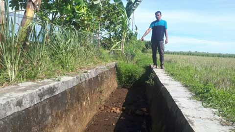 saluran irigasi di Kecamatan Sungai Limau rusak