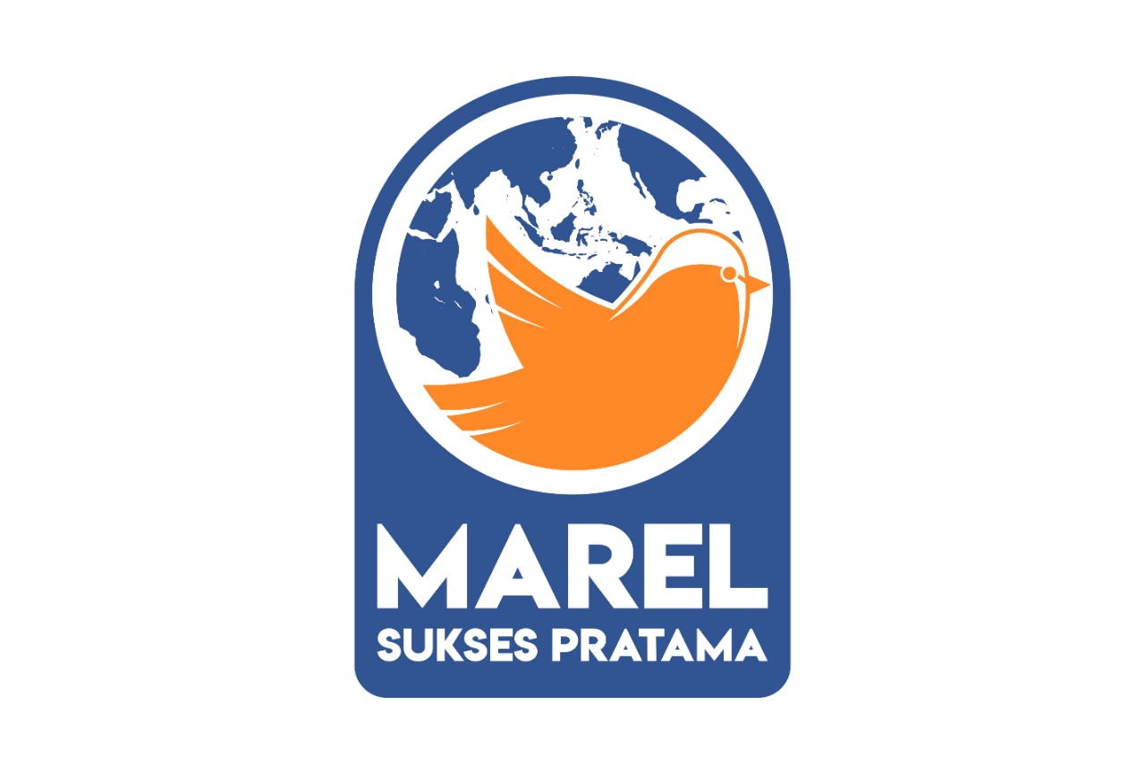 The World's Largest Sock Selection,