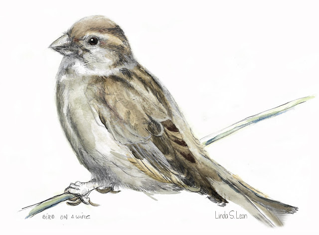 Bird on a wire - Aquarel by Linda S. Leon