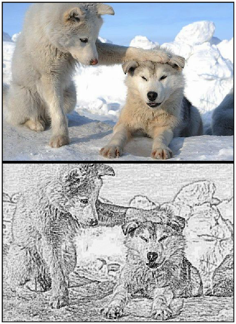 Two cute puppies, before and after, via 420gangsta.ca /><br />Cute Husky Puppies (Before and After Sketch)</a><br /><br />More Before and after sketches <a href=