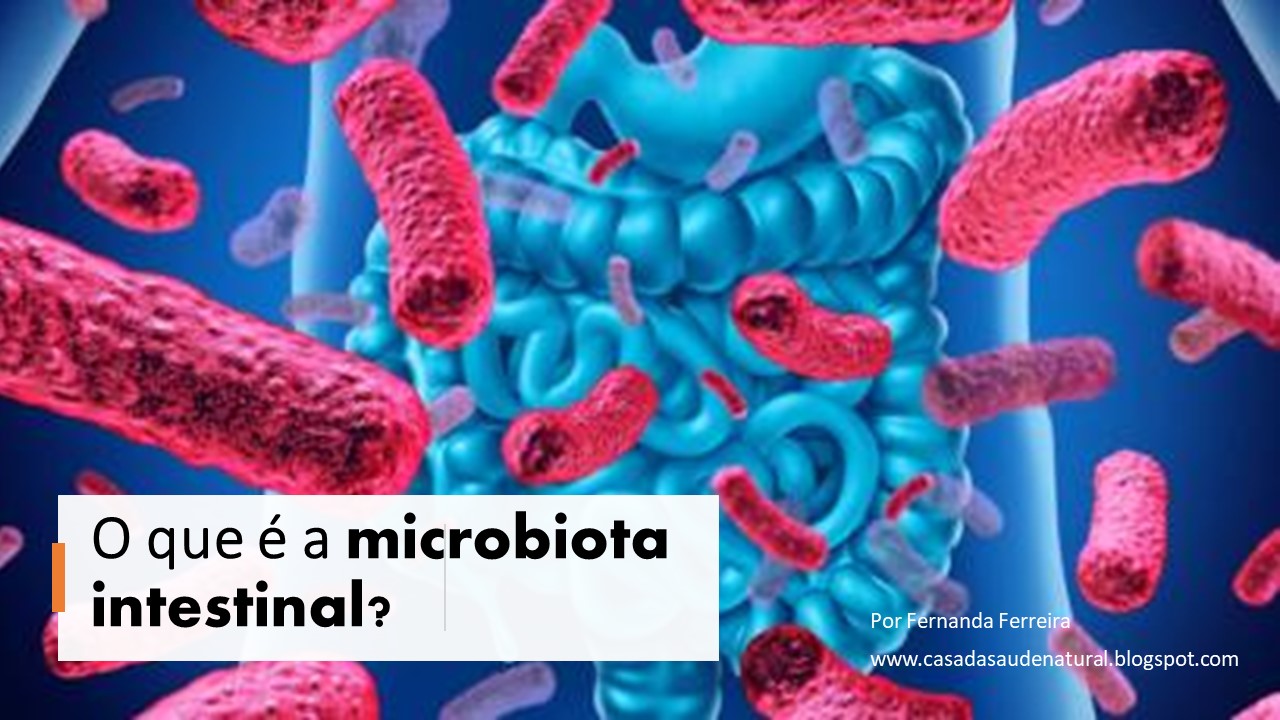 Casa da Saúde O que é a Microbiótica Intestinal? Casa da Saúde O que é a Microbiótica Intestinal?