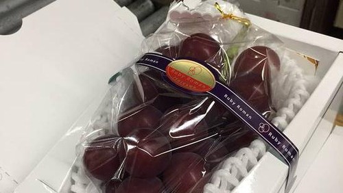 Apa yang Membuat Anggur ini berharga Ratusan Juta Rupiah ? Apa yang Membuat Anggur ini berharga Ratusan Juta Rupiah ?