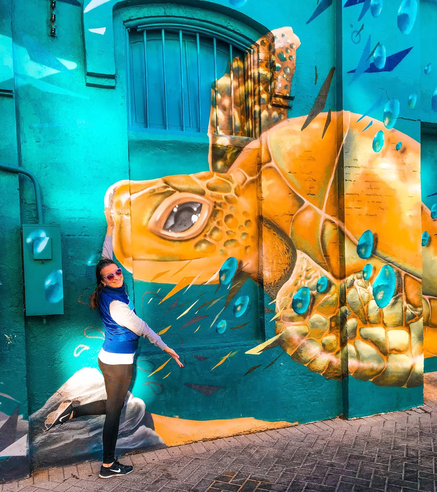 Turtle Mural in Galveston Downtown