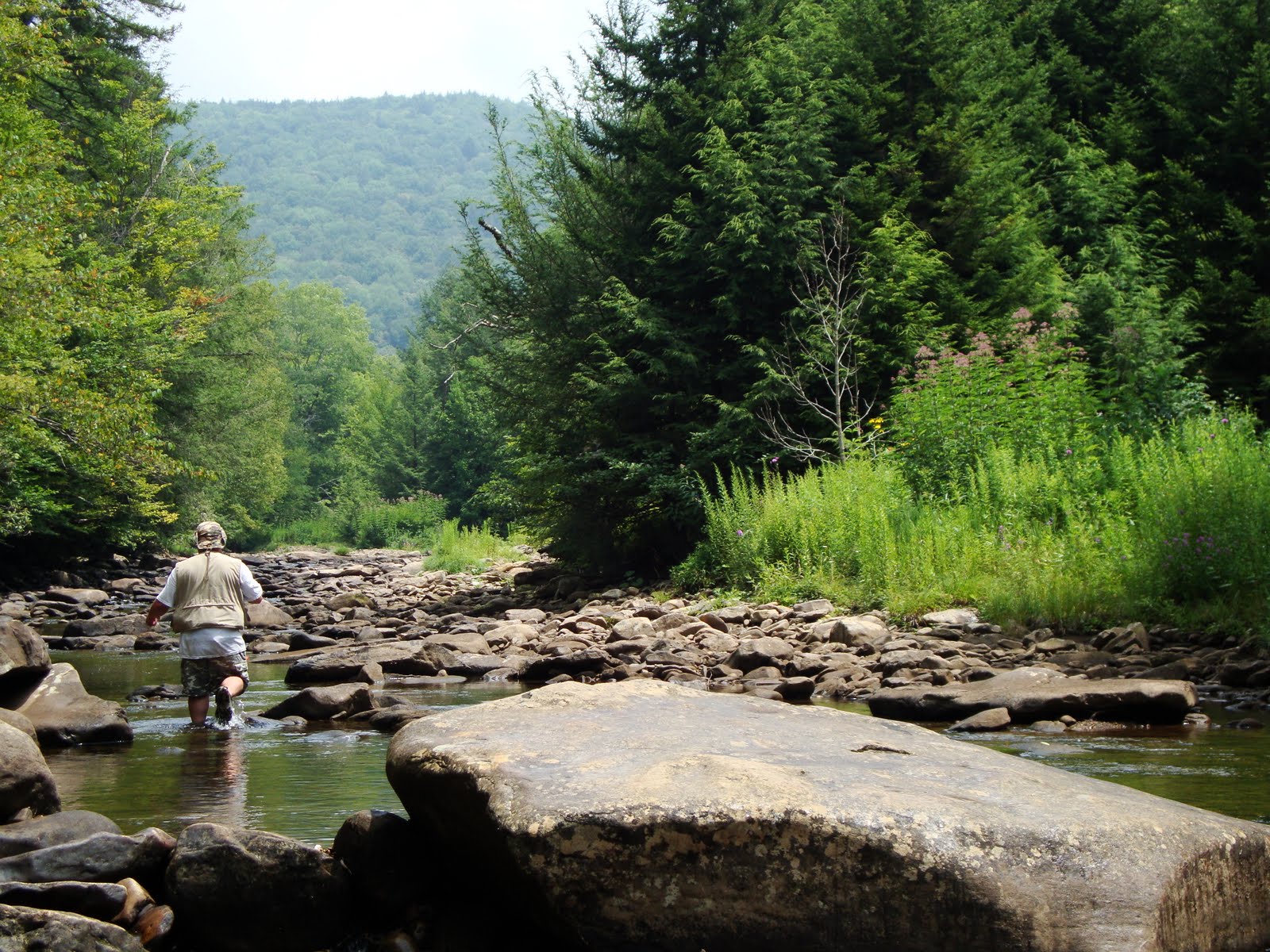 Adventure Fishing Cranberry River