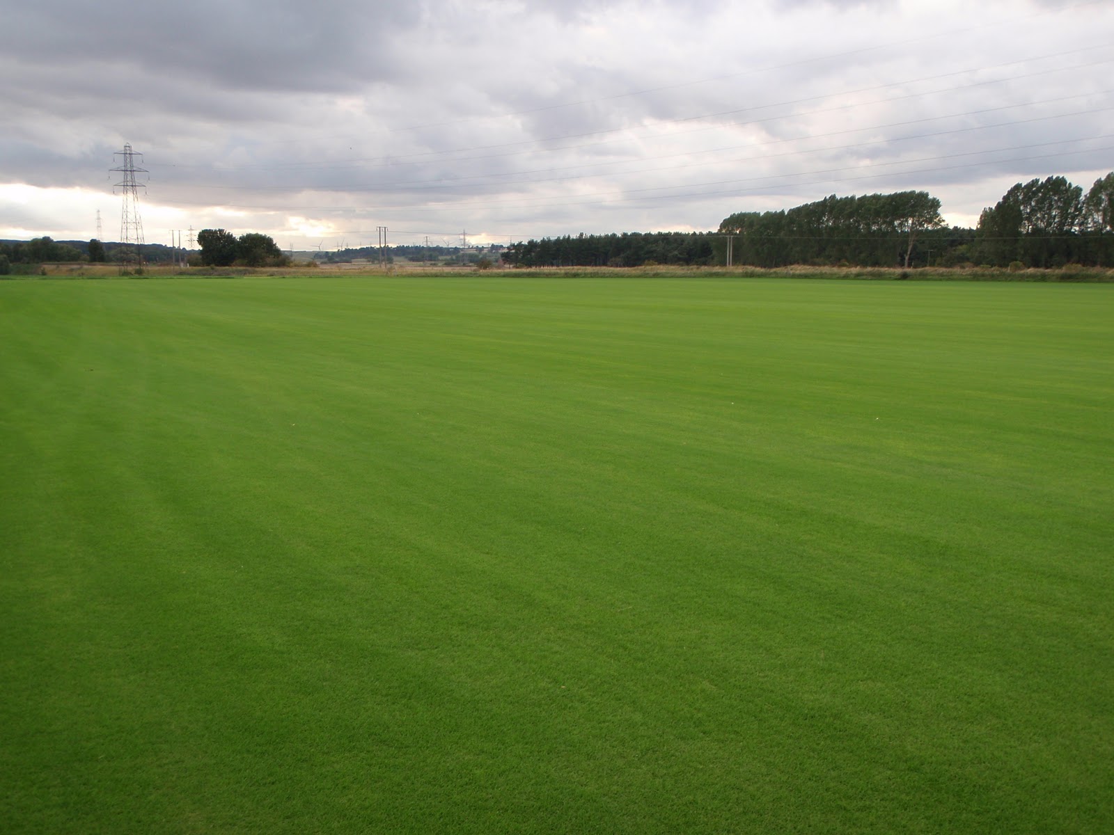 La Moye Golf Club New Turf Delivery