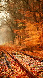 aesthetic iphone cozy desktop autumn fall