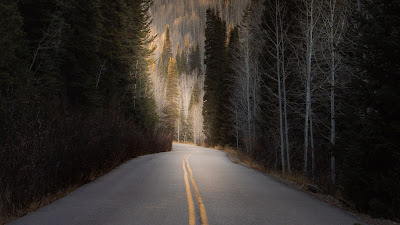 Wallpaper Hill, Trees, Asphalt, Road, Forest Wallpaper Hill, Trees, Asphalt, Road, Forest