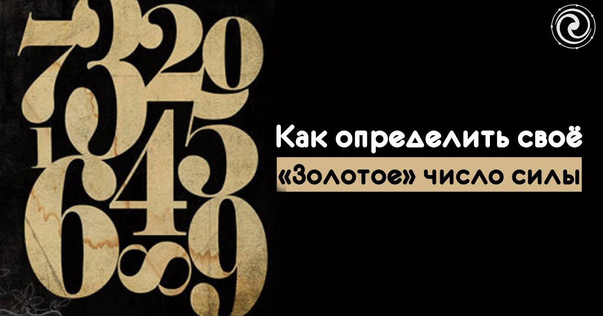 Книга сила чисел