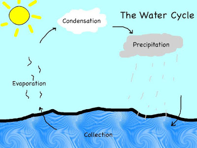 The Water Cycle: The Water Cycle
