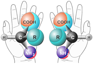 Analogy of homochiral chemicals with hands