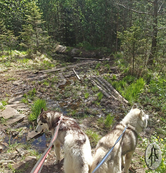 Kjerkeasen02.jpg