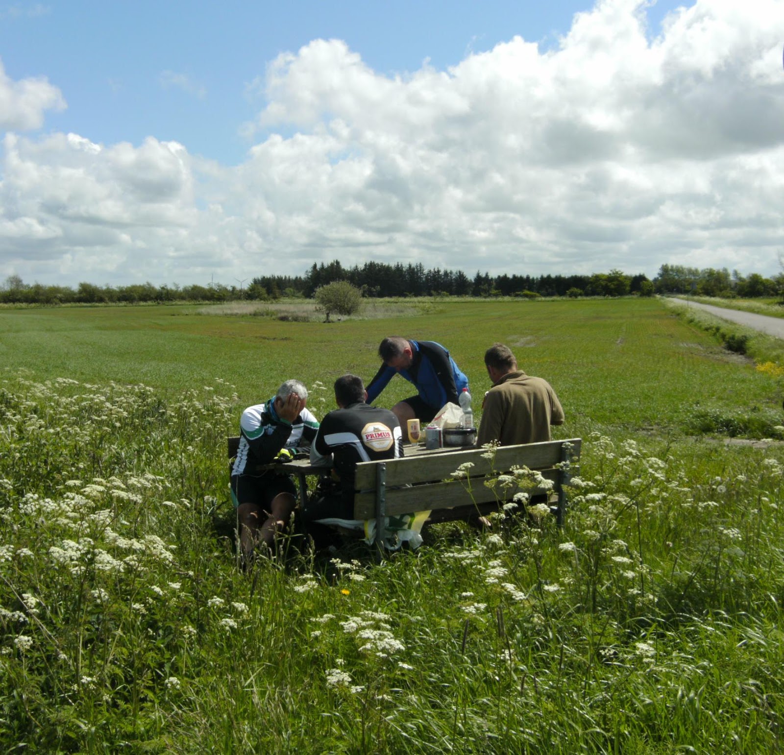Een fiets... en de Noordzee 8 juni 2015