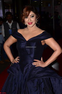 Payal Ghosh aka Harika in Dark Blue Deep Neck Sleeveless Gown at 64th Jio Filmfare Awards South 2017 ~  Exclusive 009