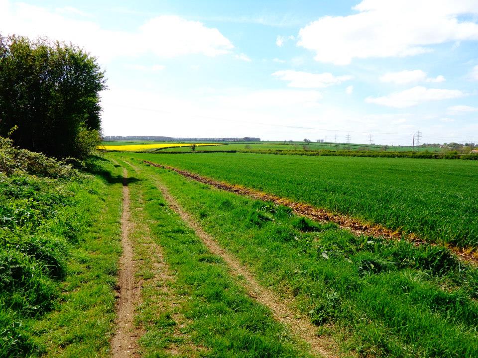 Snail's Pace Walking Blog East Yorkshire Rowley (2.8 miles)
