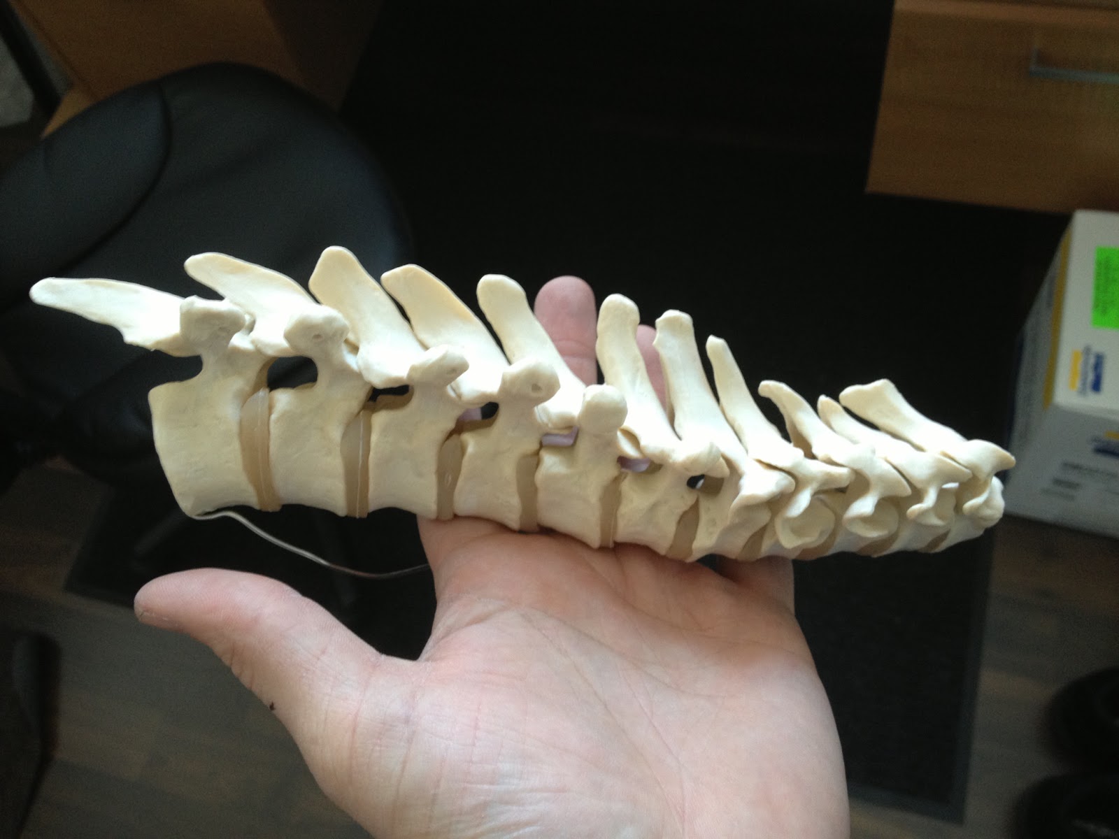 Back Alley Creations: Predator Spine parts done and ready for paint.