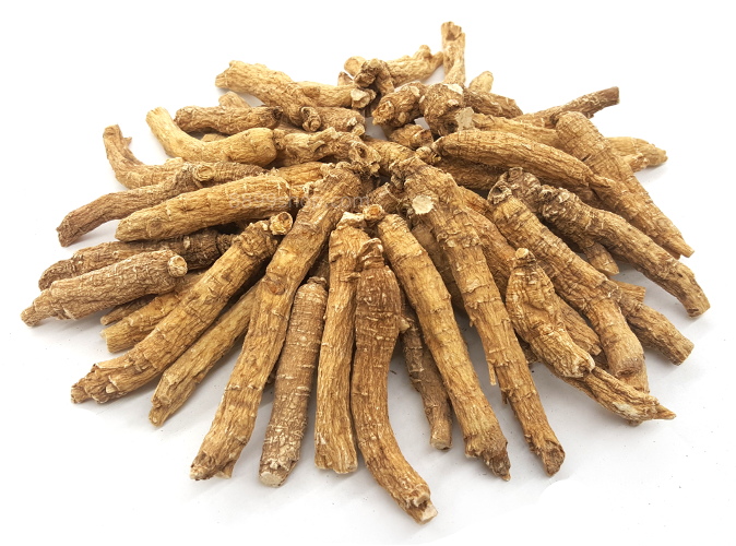 AMERICAN GINSENG INTERACTIONS MAGASAM