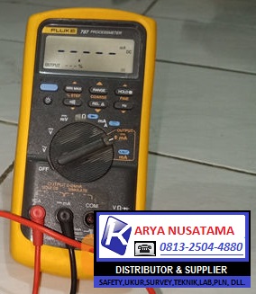 Jual Proces Meter Fluke 787 di Malang